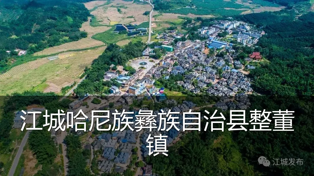 江城哈尼族彝族自治县整董镇